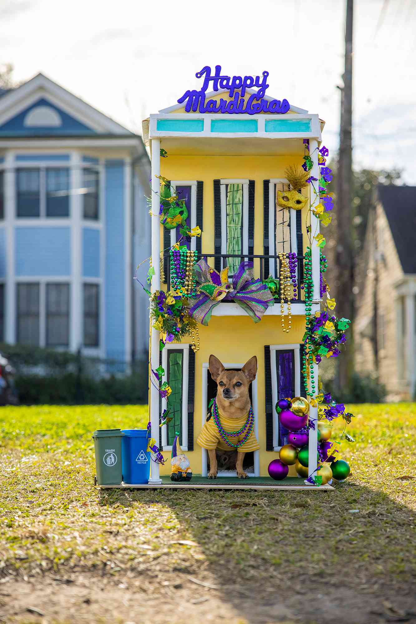 Mardi Gras Dog House