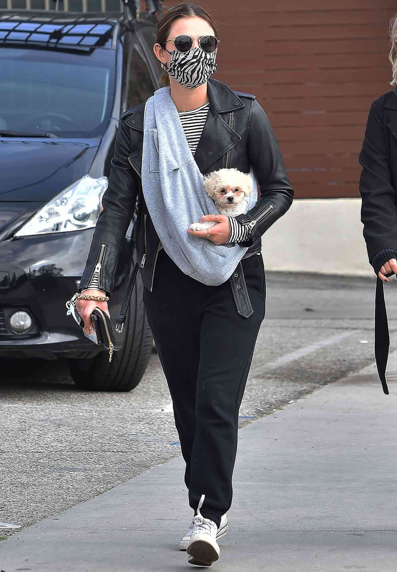 Lucy Hale is seen out with her new puppy