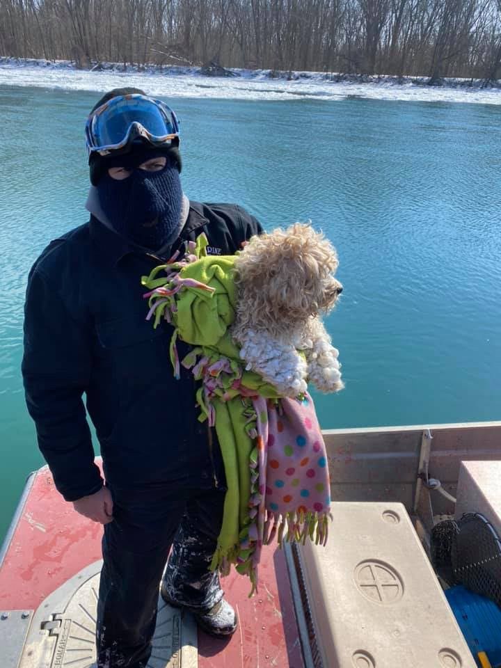 'Miracle' Puppy Rescued After Being Stuck in Detroit River for 4 Days in Freezing Temperatures