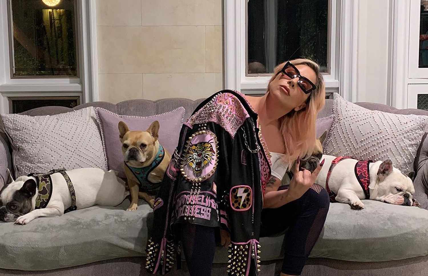 Video Appears to Show Lady Gaga's Dog Walker Getting Shot | PEOPLE.com