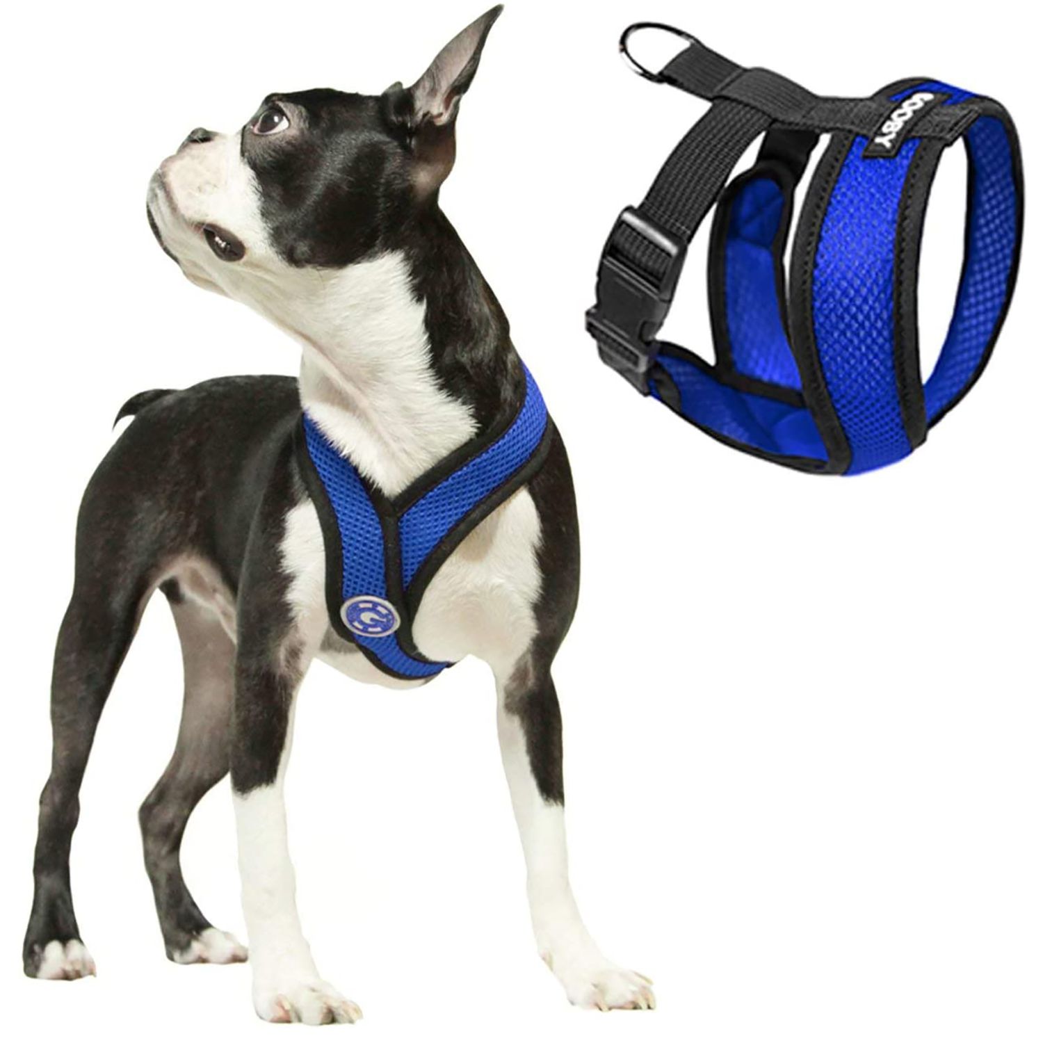 Neoprene Step In NEW Gooby Small Breed Convertible Sport Dog Harness S M L 