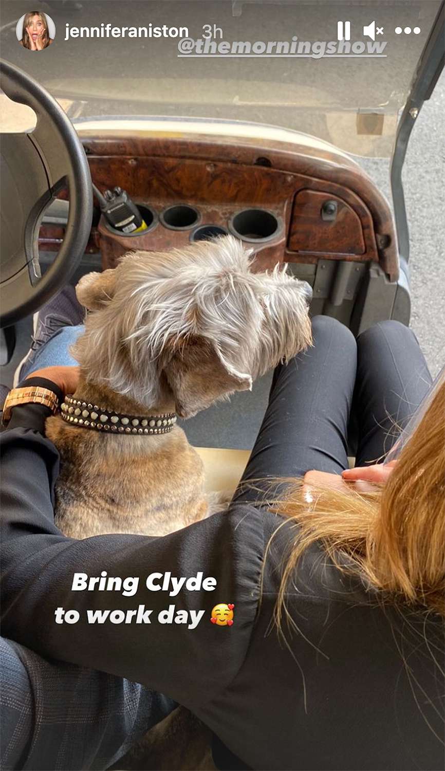 Jennifer Aniston dog Clyde