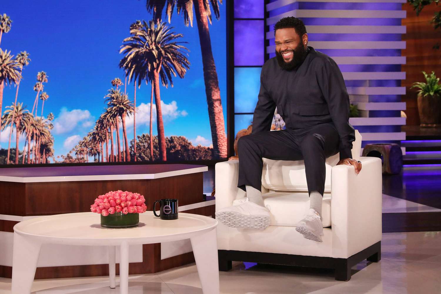 Emmy Award-nominated star of “Black-ish” Anthony Anderson guest hosts “The Ellen DeGeneres Show” airing Friday, April 30th.