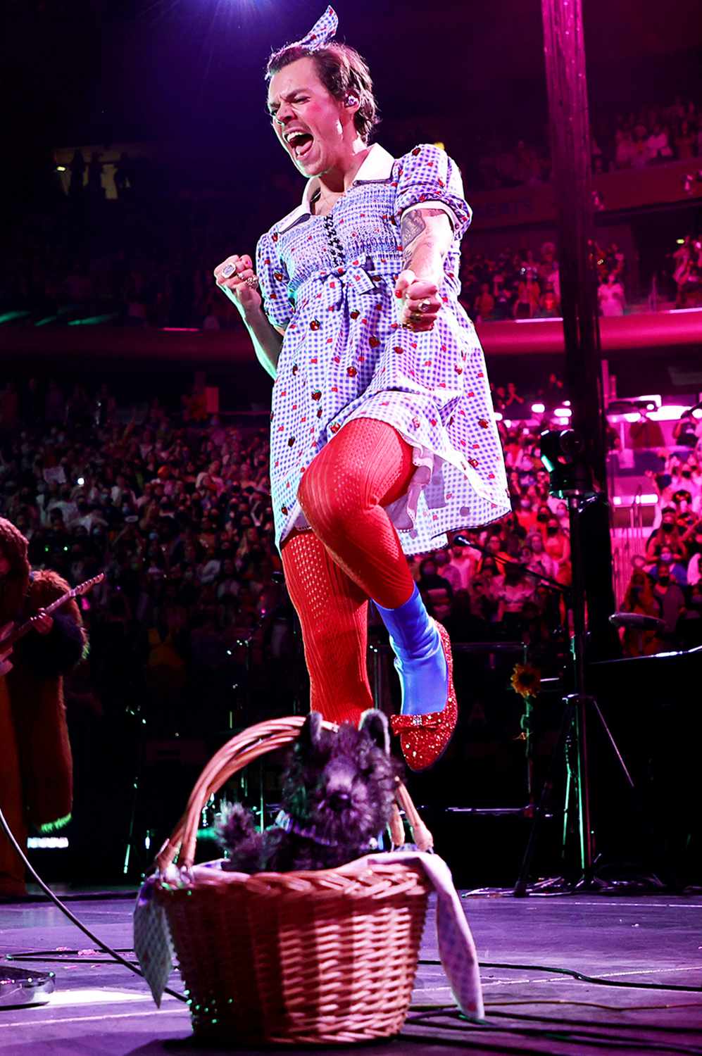 Harry Styles performs, in Dorothy from "The Wizard of Oz" costume, with Toto dog onstage at Harry Styles "Harryween" Fancy Dress Party at Madison Square Garden on October 30, 2021 in New York City.