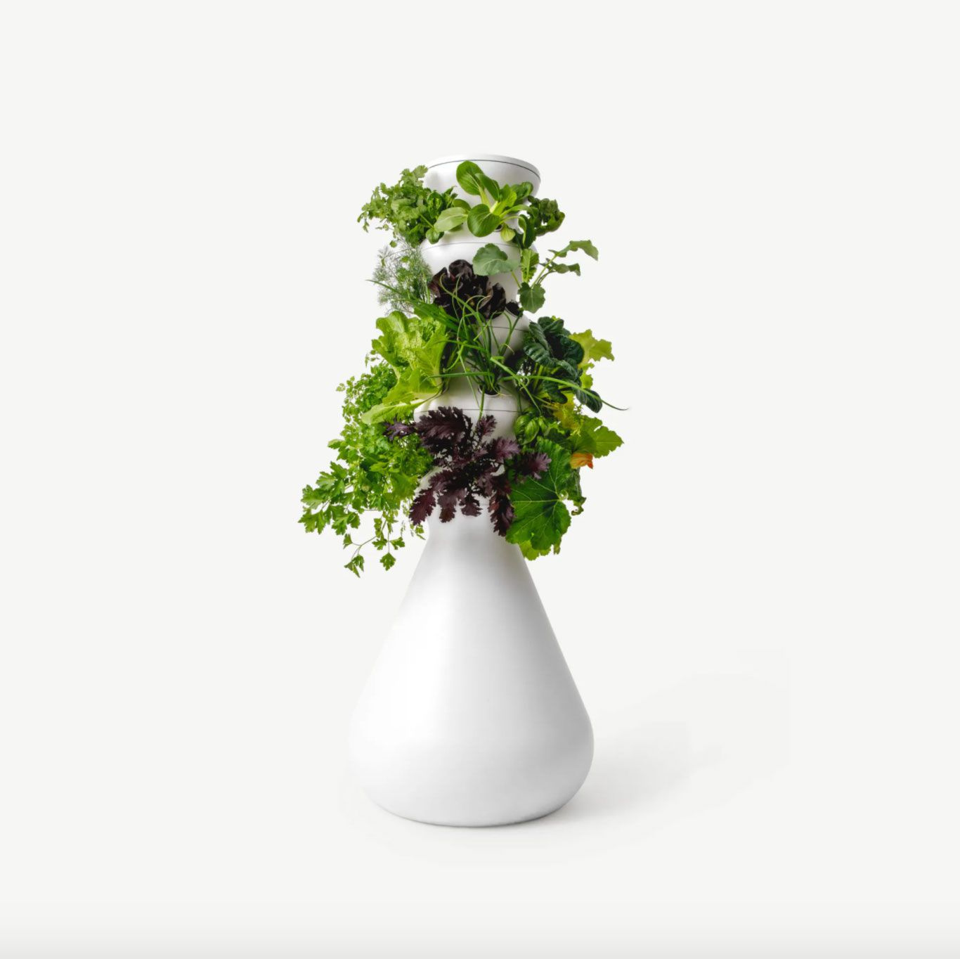 farmstand-lettuce-grower-kris-jenner-holiday-gift