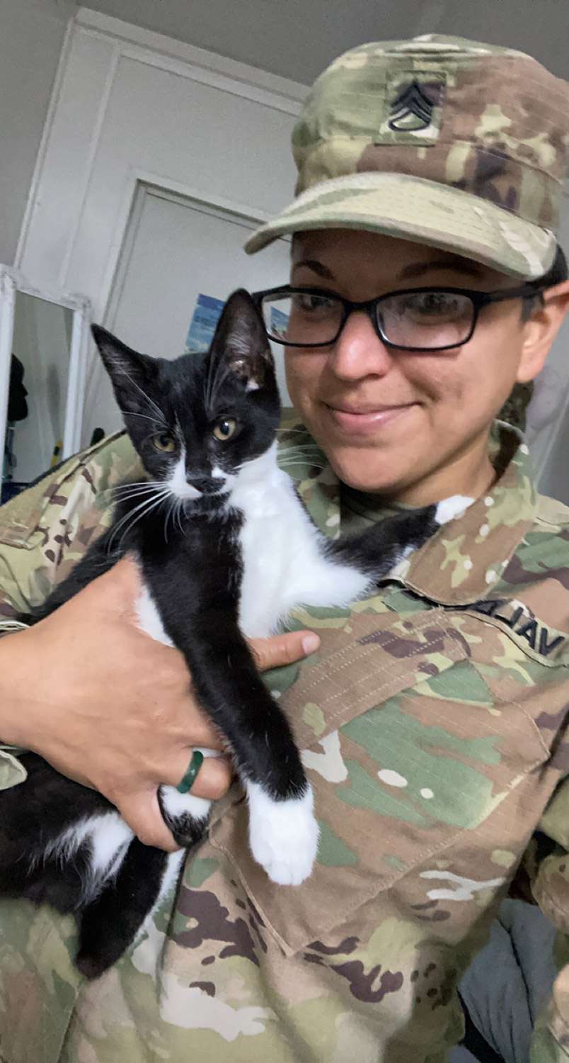 servicemembers reunite with cats