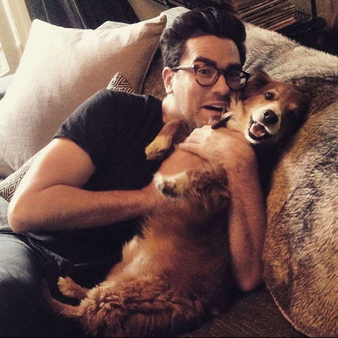 dan levy and his dog
