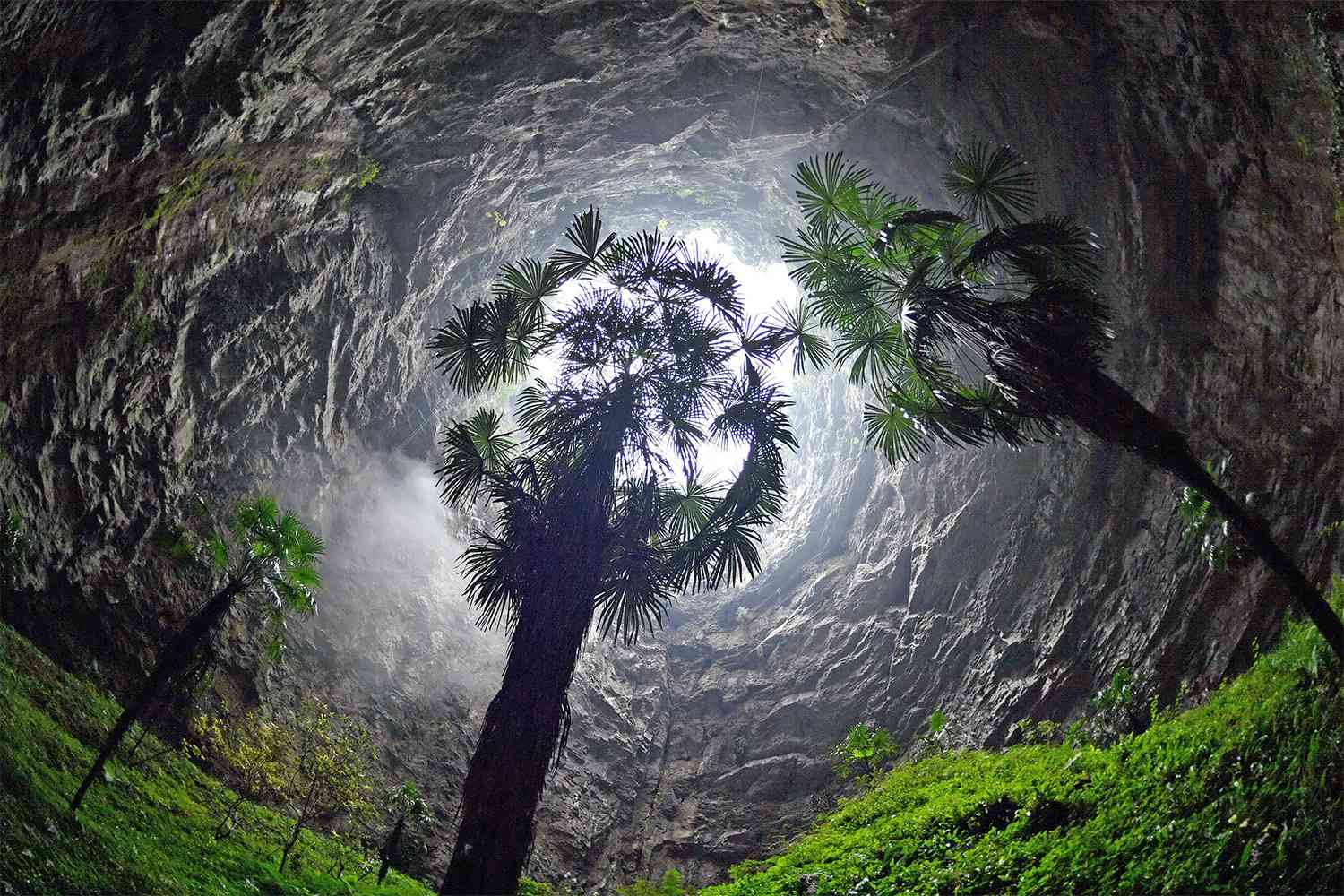 ENSHI, Oct. 10, 2020 -- Photo taken on Oct. 10, 2020 shows palm trees in a Tiankeng, or giant karst sinkhole, at Luoquanyan Village in Xuan'en County, Enshi Tujia and Miao Autonomous Prefecture, central China's Hubei Province. (Photo by Song Wen/Xinhua via Getty) (Xinhua/Song Wen via Getty Images)