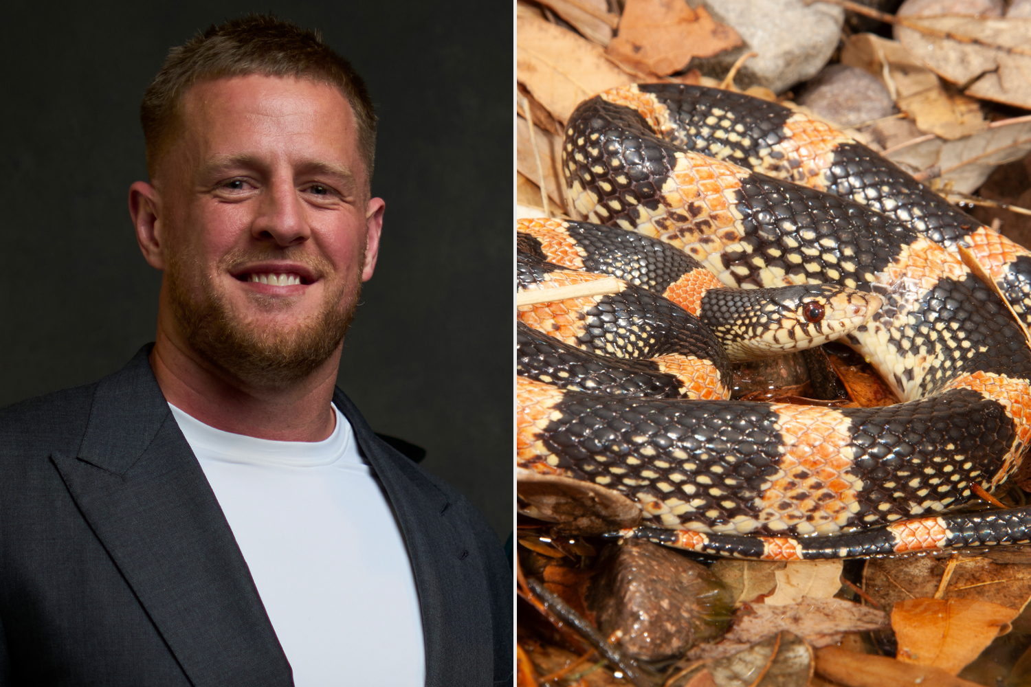 JJ Watt Says He Felt 'Like a Wimp' After Finding a Snake in the Bathroom of His Arizona Home; Long-nosed Snake