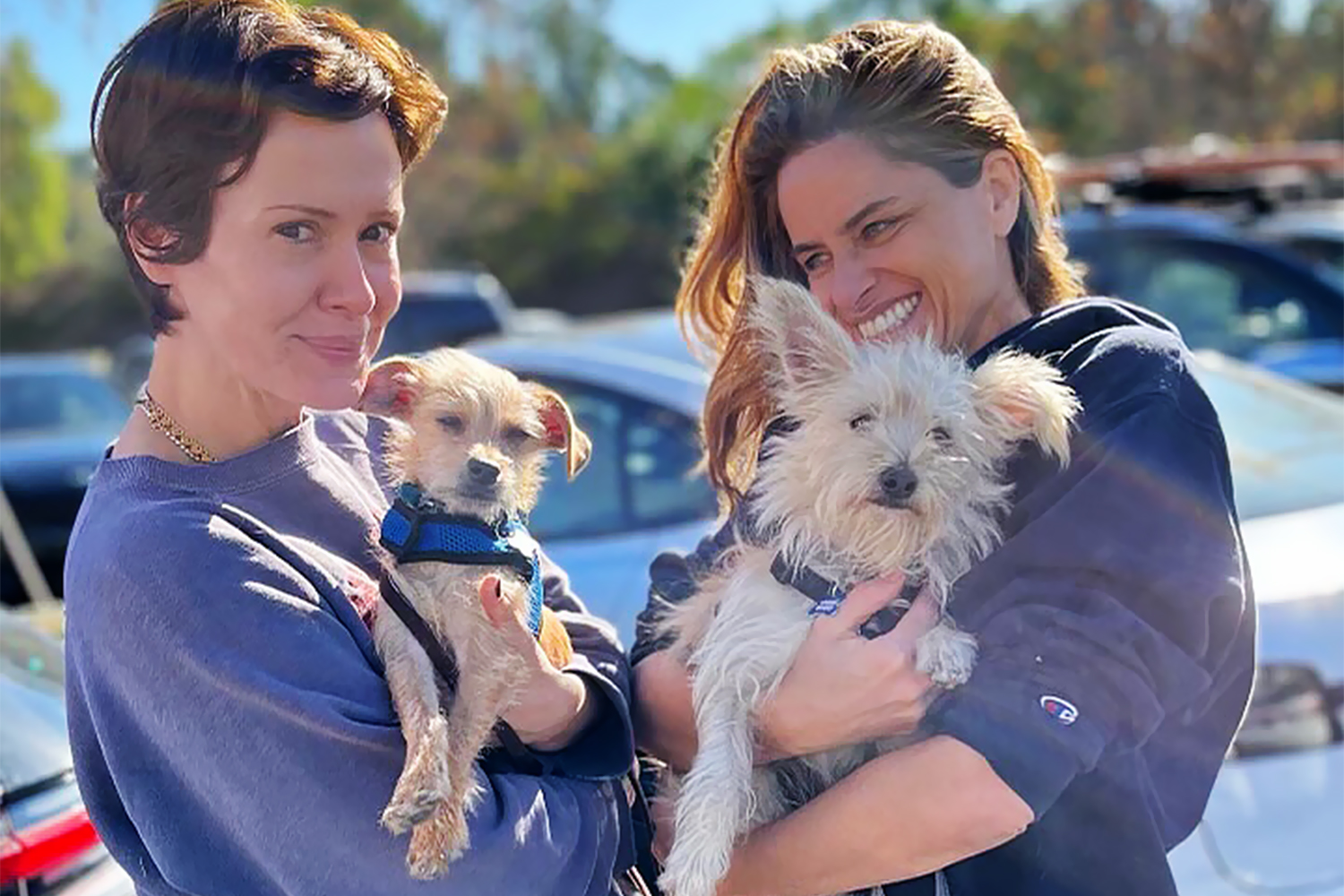 Sarah Paulson and Amanda Peet Rescue Two Adorable New Puppies: 'New Addition to the Family'
