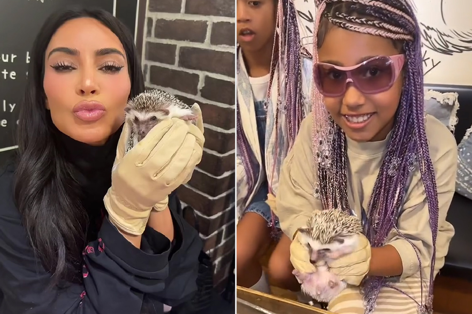 Kim Kardashian Takes Daughters North and Chicago and Niece Penelope to a Hedgehog Café