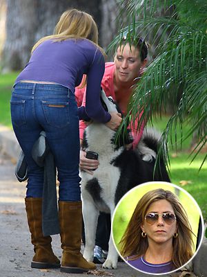 Jennifer Aniston rescata perro
