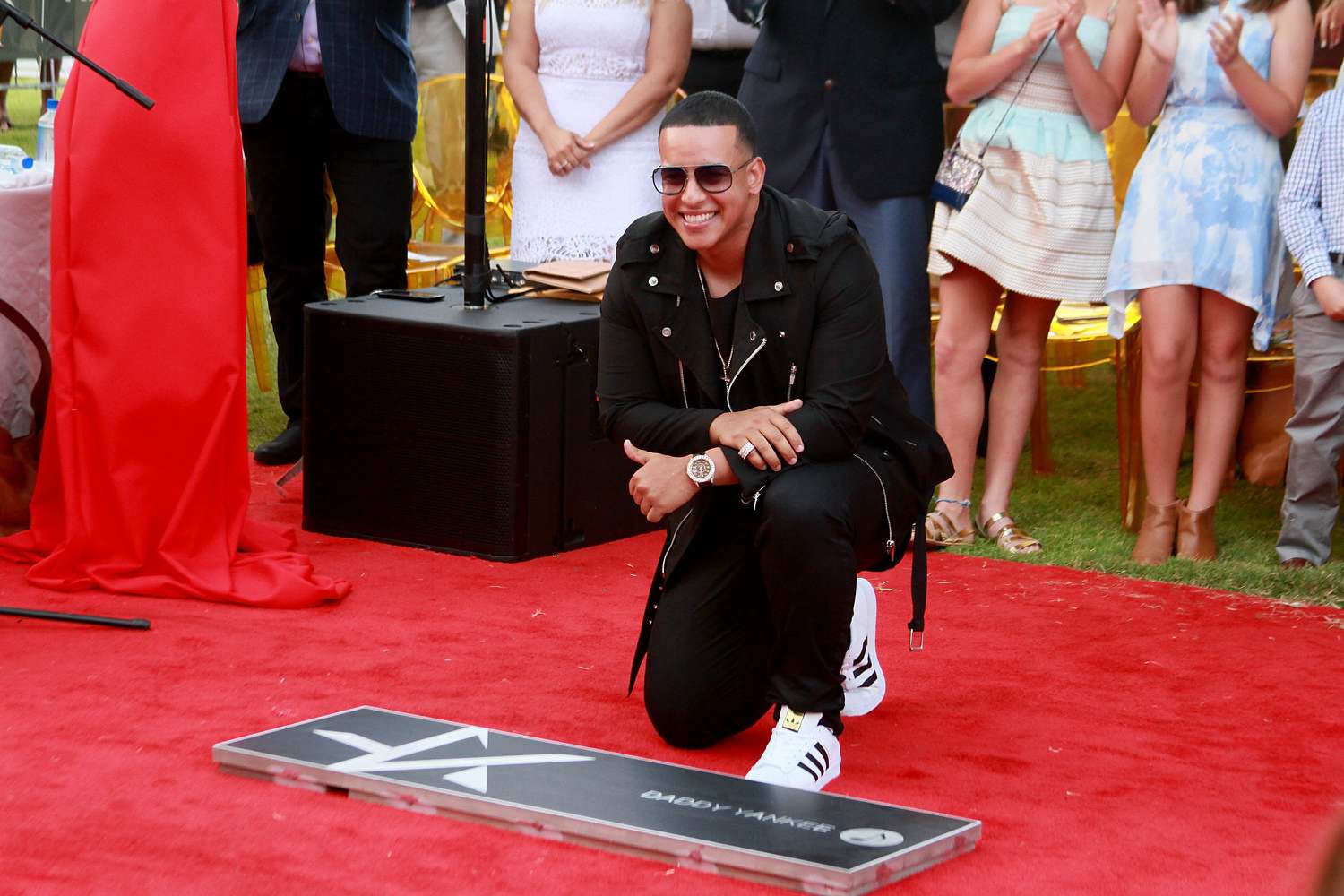 Daddy Yankee en el 2017