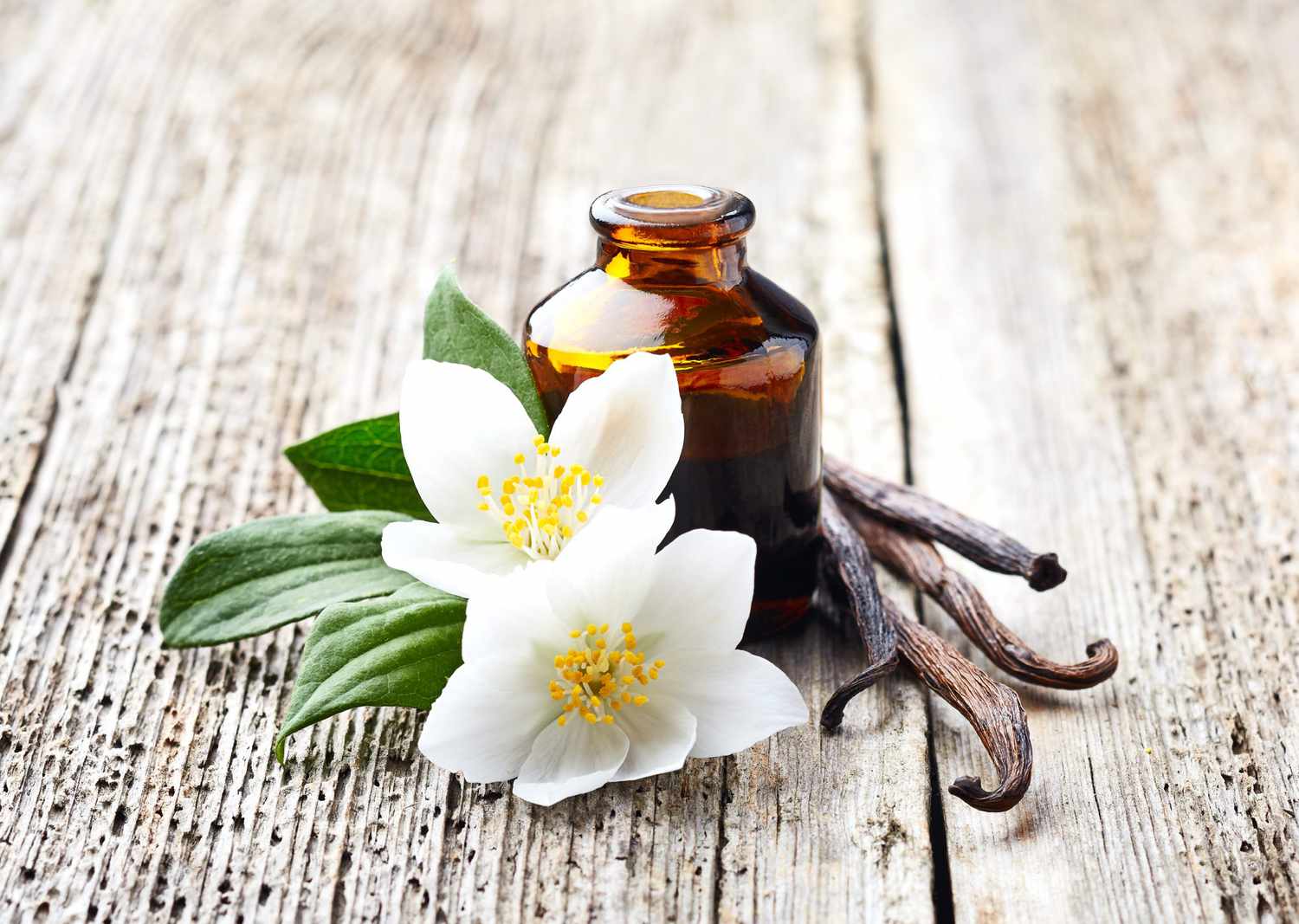 Top 3 Benefits of Using Vanilla in Your Daily Beauty Routine