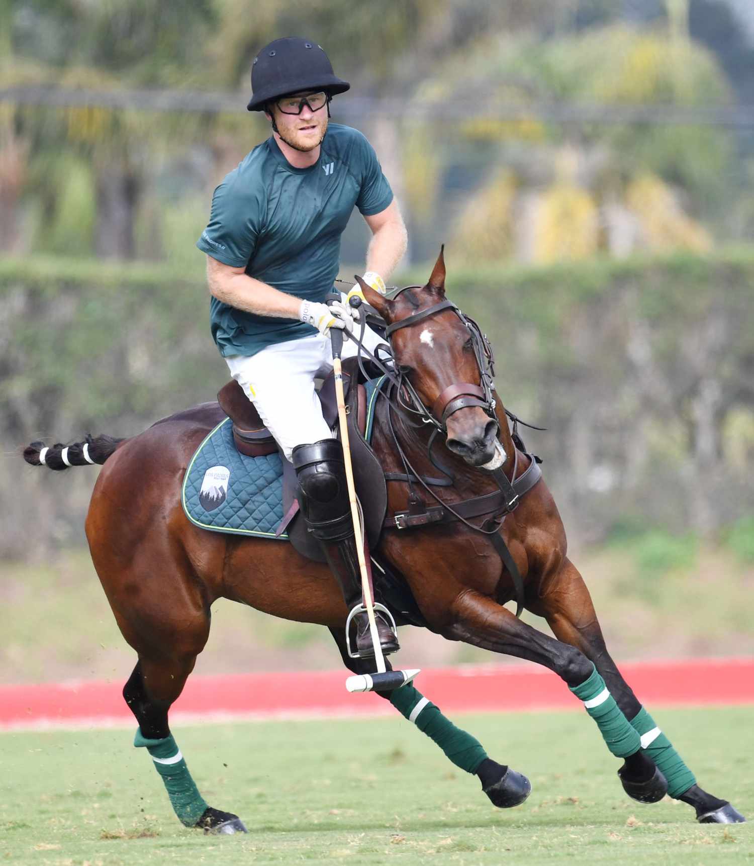 El príncipe Harry sufre una caída de un caballo en pleno partido de polo |  People en Español