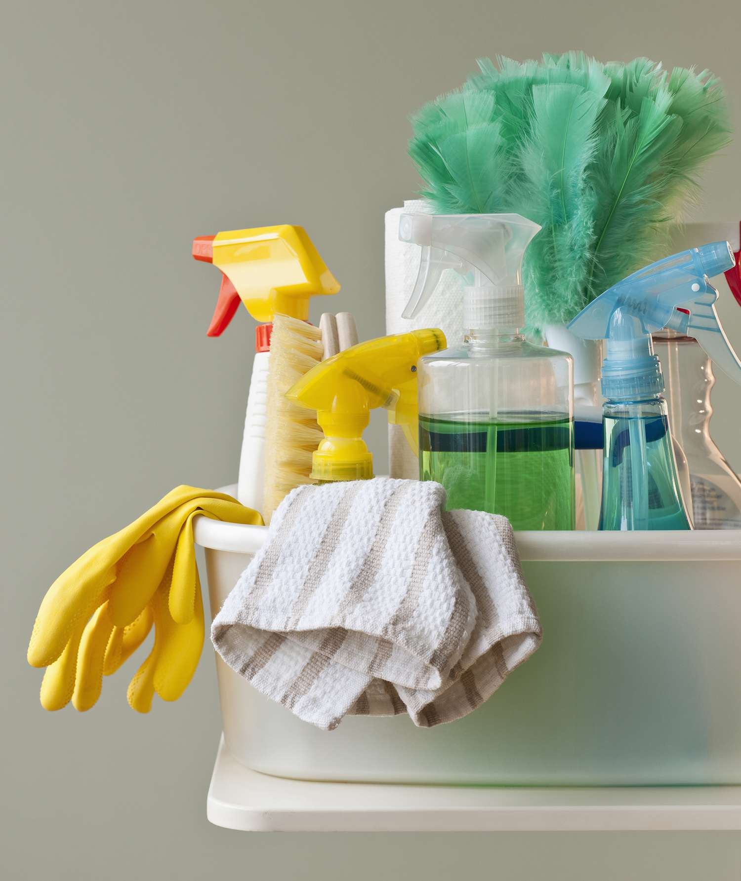 Cleaning supplies and dish towel