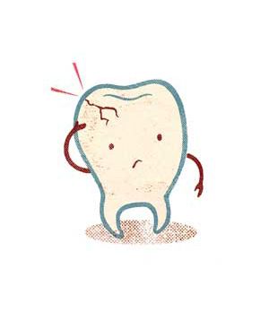 Drawing of a tooth