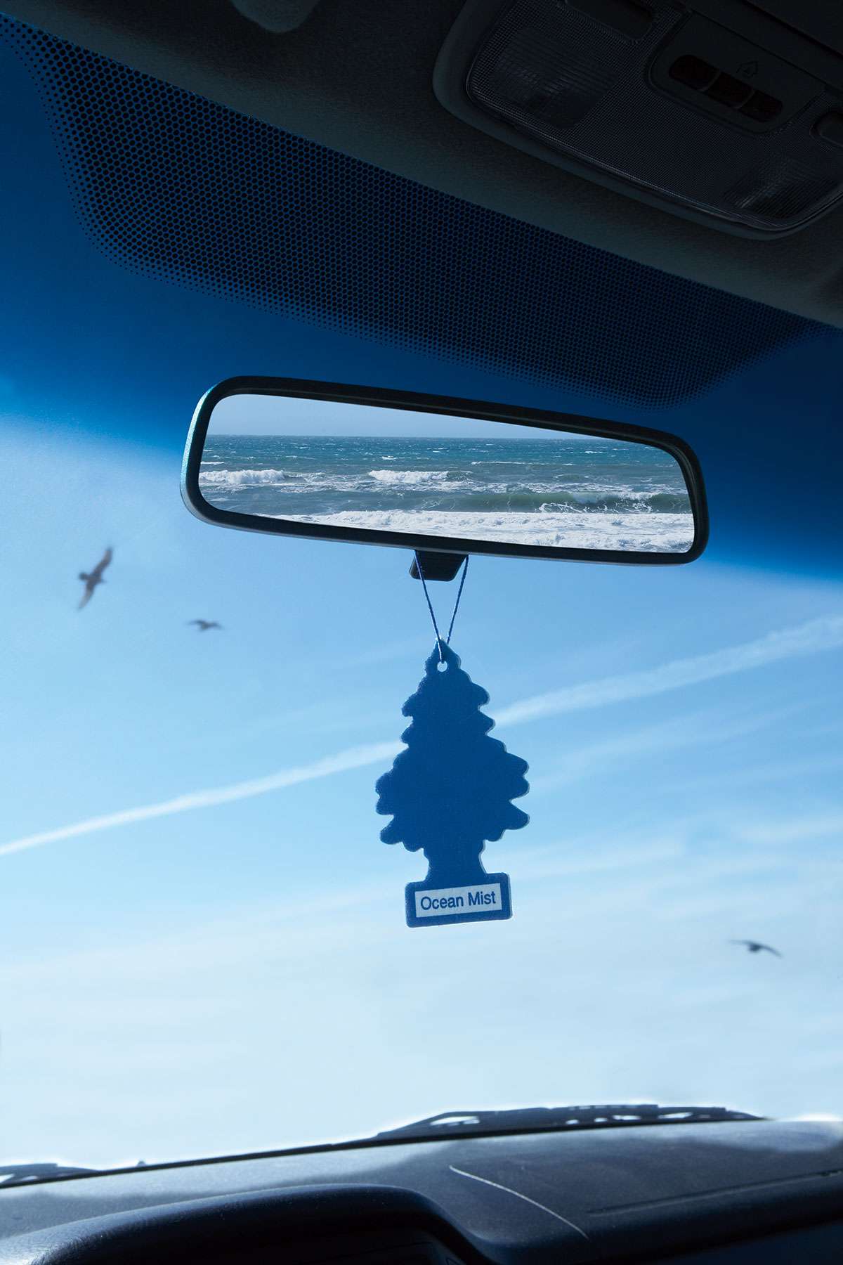 Air freshener hanging from a rear view mirror