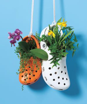 Clogs as Hanging Planters
