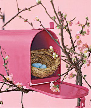 Mailbox as Bird House