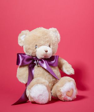 Teddy Bear as Ring Bearer