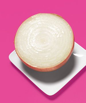 Onion as Basement Deodorizer