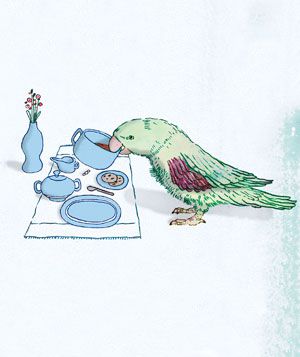 Parrot sipping tea illo