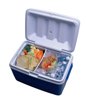 Plastic picnic cooler with prepared foods and water on ice