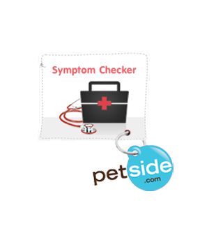 Pet Symptom Checker