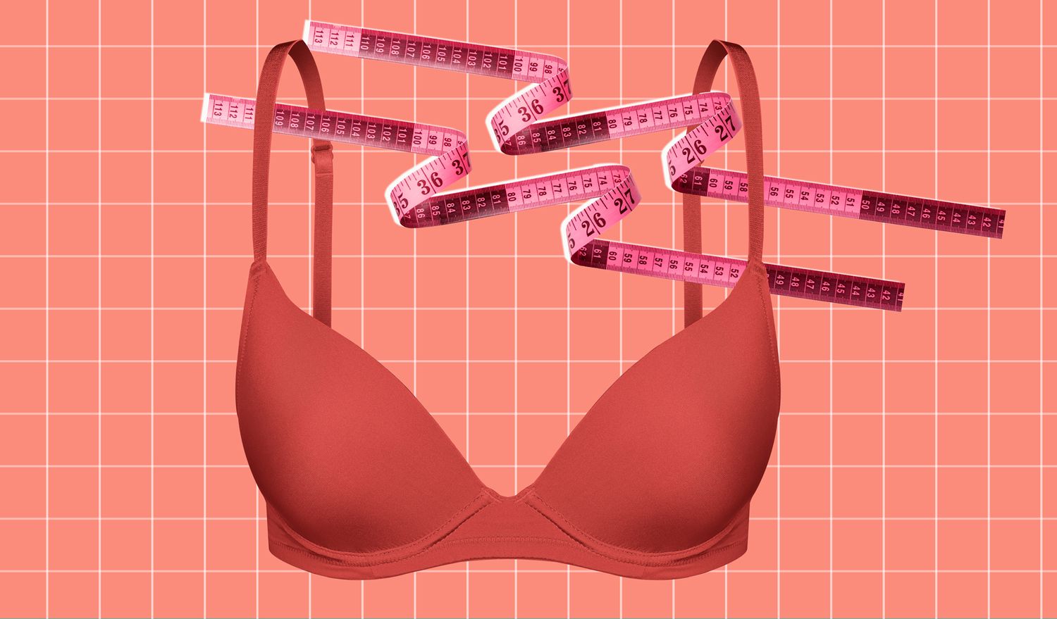 How To Measure Your Bra Size Bra Size Charts Band And Cup