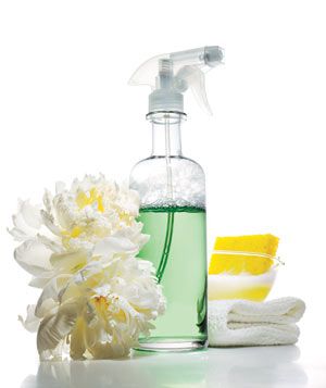 Cleaning spray with flowers, sponge, and cloth