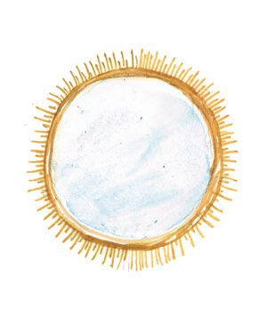 Illustration: sunburst mirror