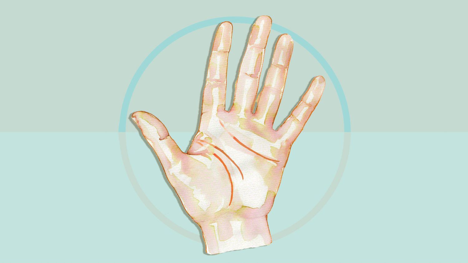 palm reading diagram: how to find your heart, head, and life lines
