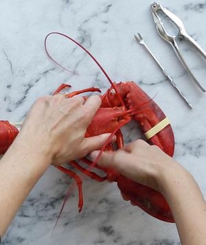 How to Eat Lobster still