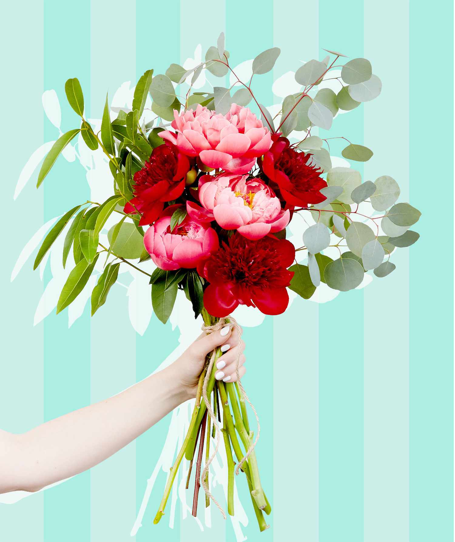 Peony care: Peony bouquet of pink flowers