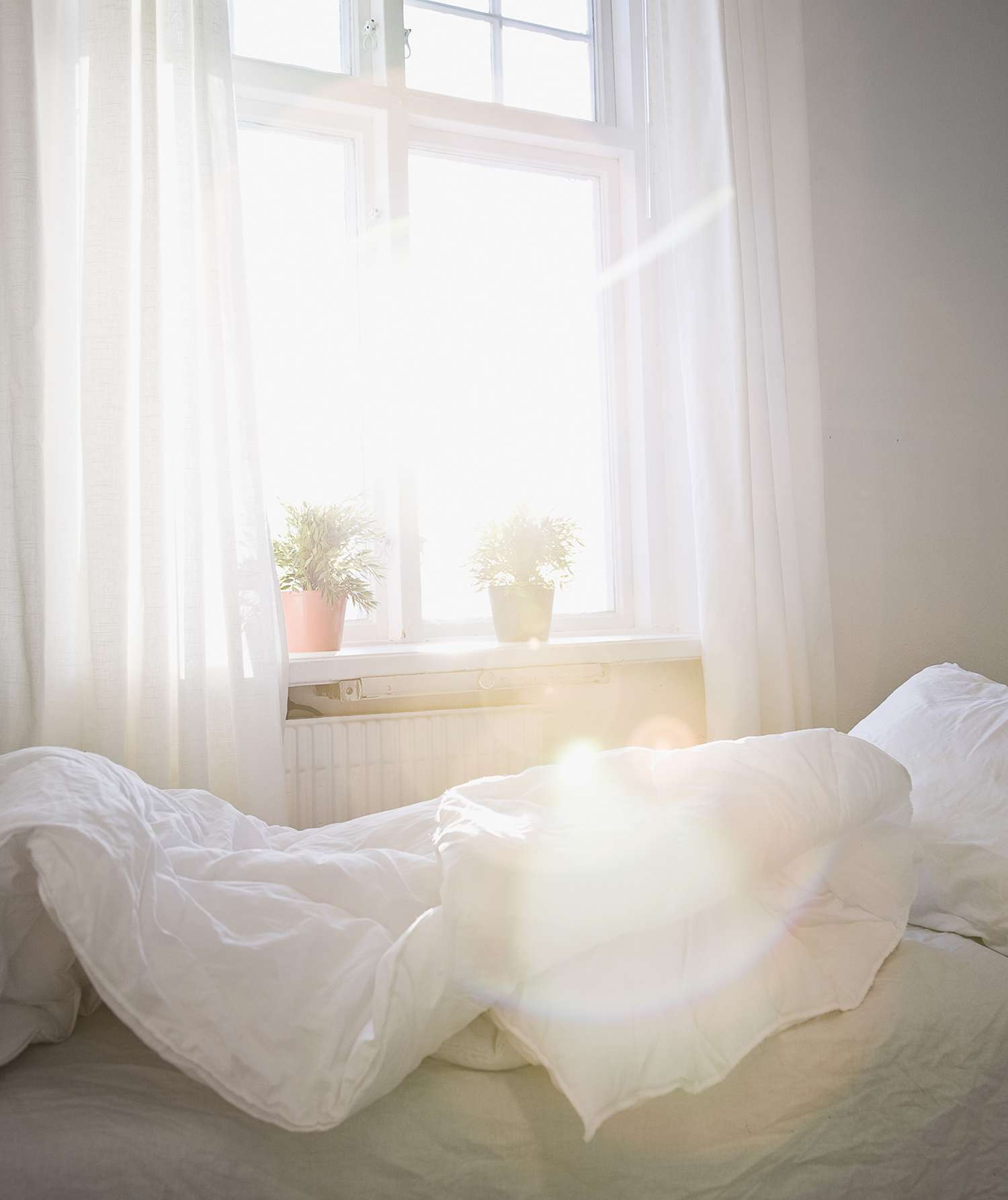 Morning light bedroom window