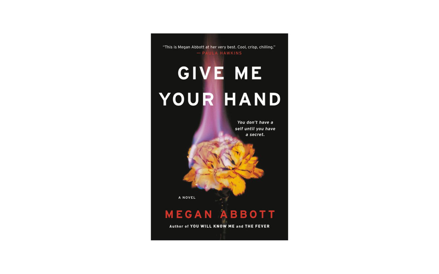 Barnes and Noble Book Sale Give Me Your Hand, by Megan Abbott