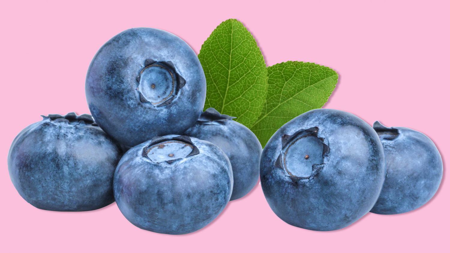 blueberry-gut-health