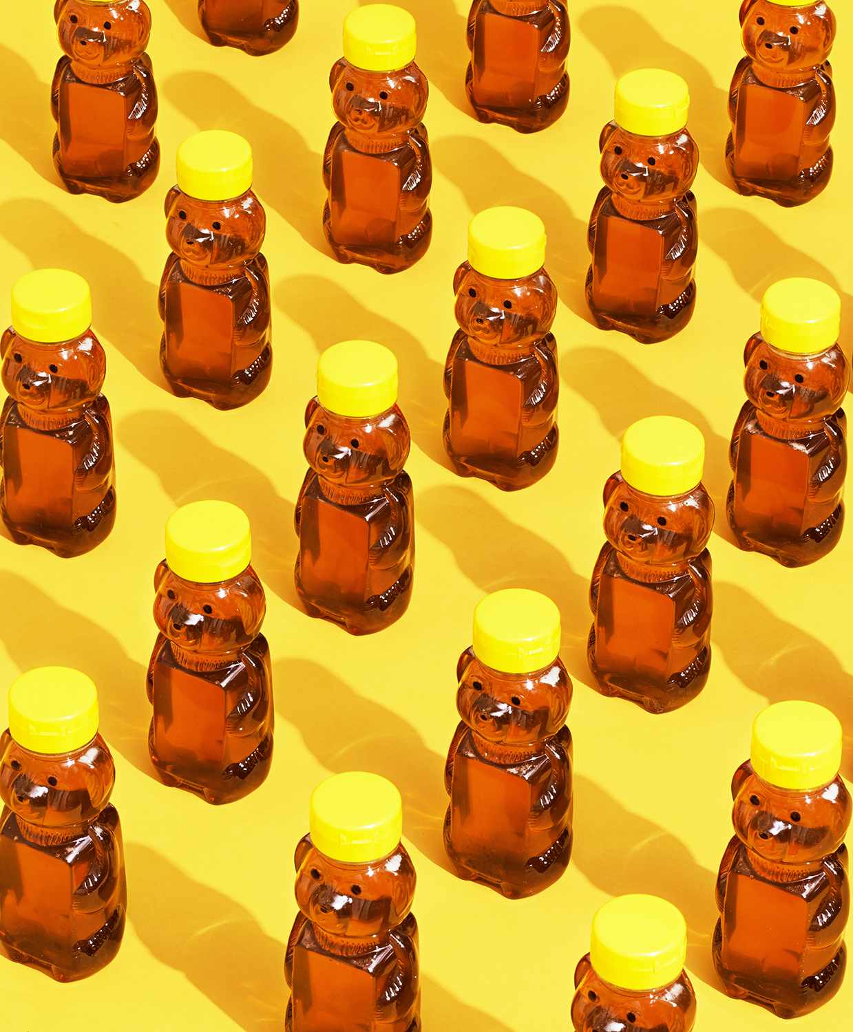 Honey bears