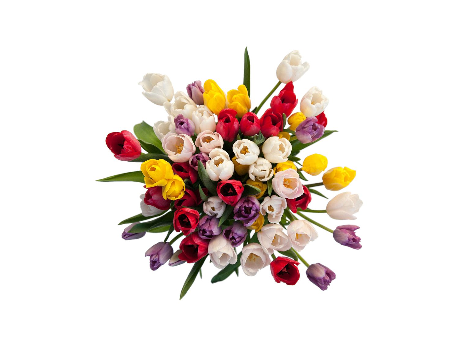Multi-colored tulip arrangement