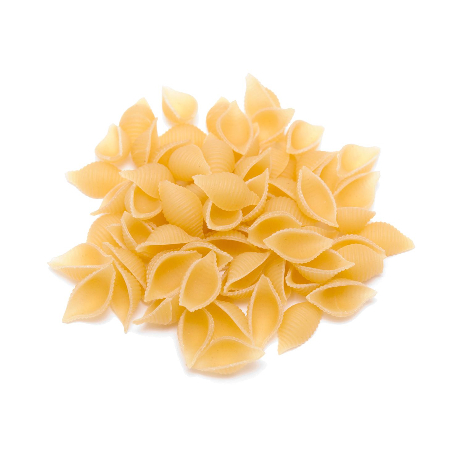 Types of pasta noodles - shells