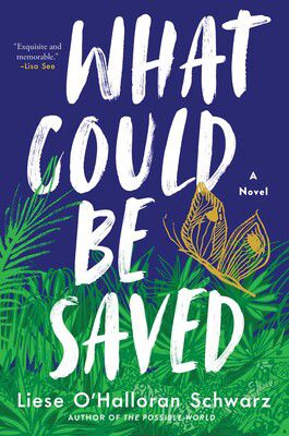 What Could Be Saved by Liese O’Halloran Schwarz