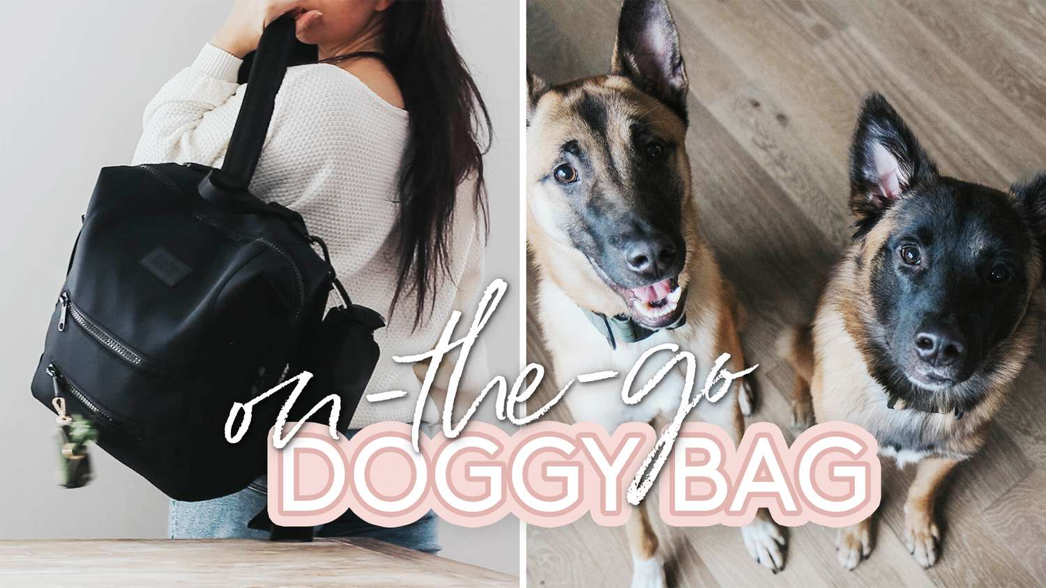 Simply Video: Doggy Bag Haley Cairo