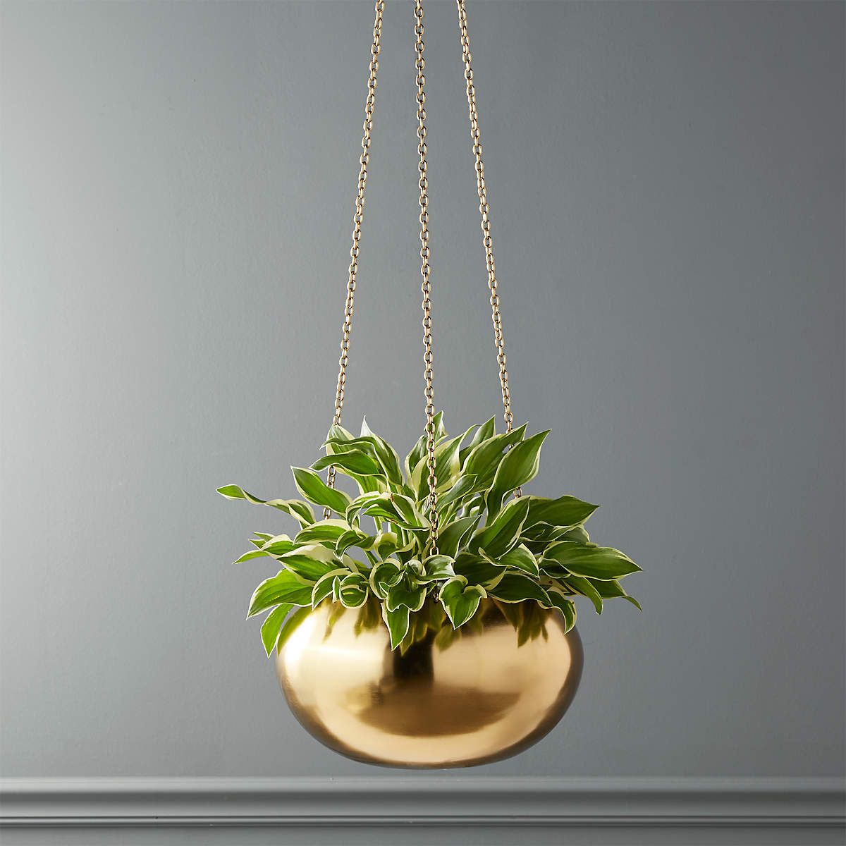 Hanging Gold Planter from CB2