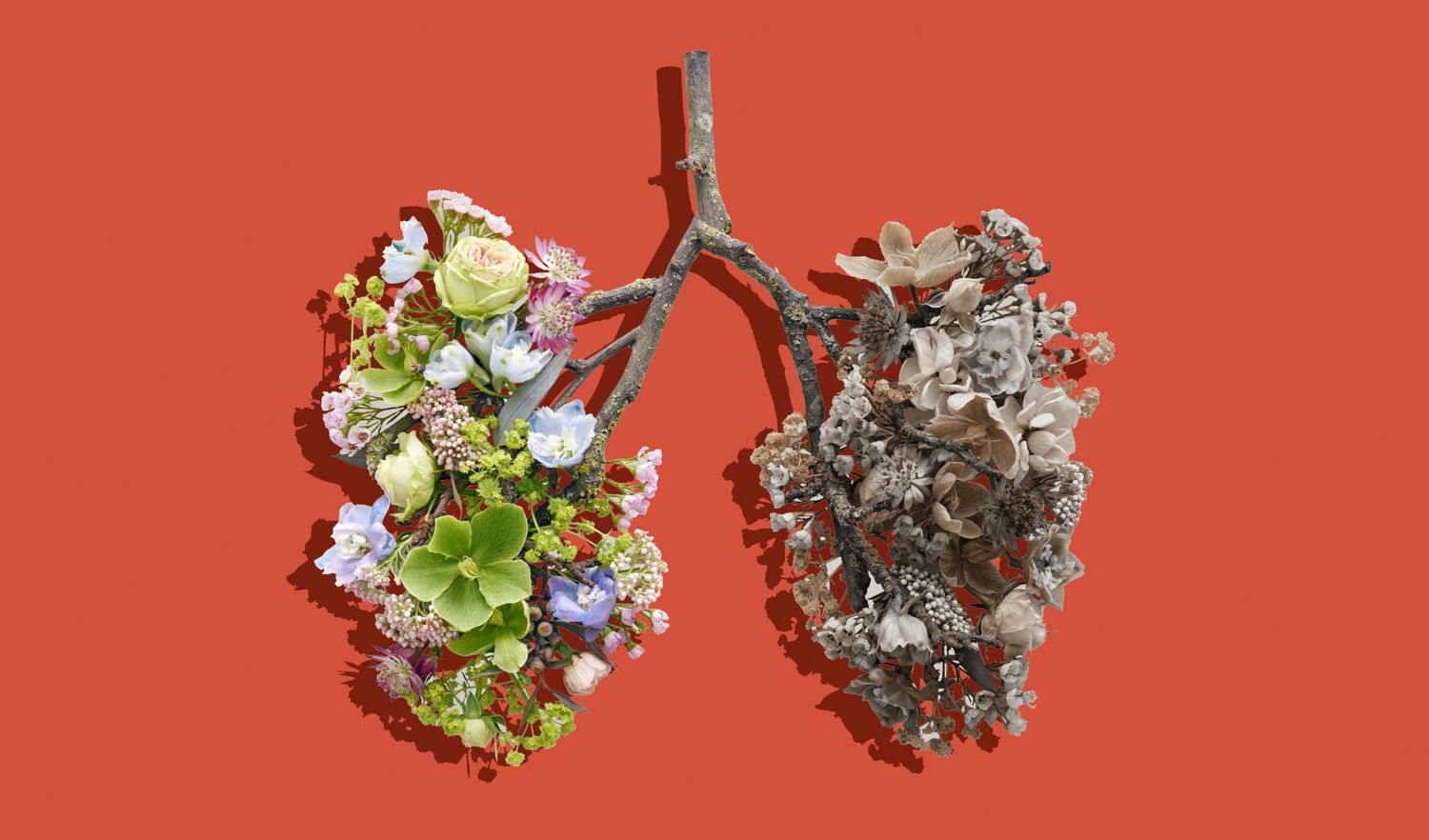 flu-vs-covid-symptoms: flower lung illustration