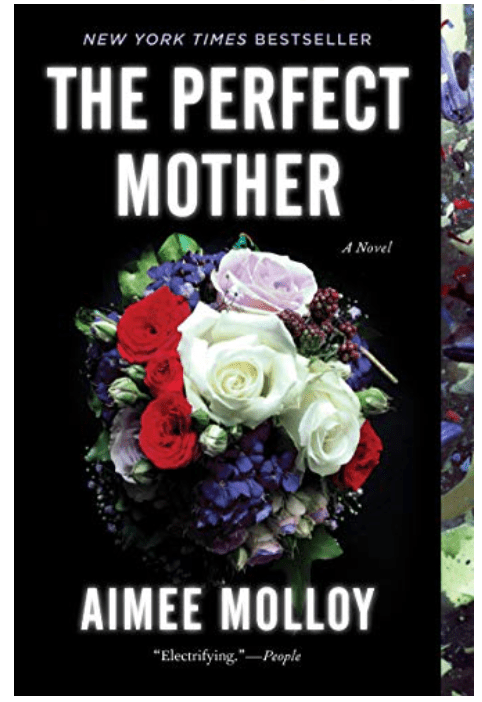 The Perfect Mother Novel