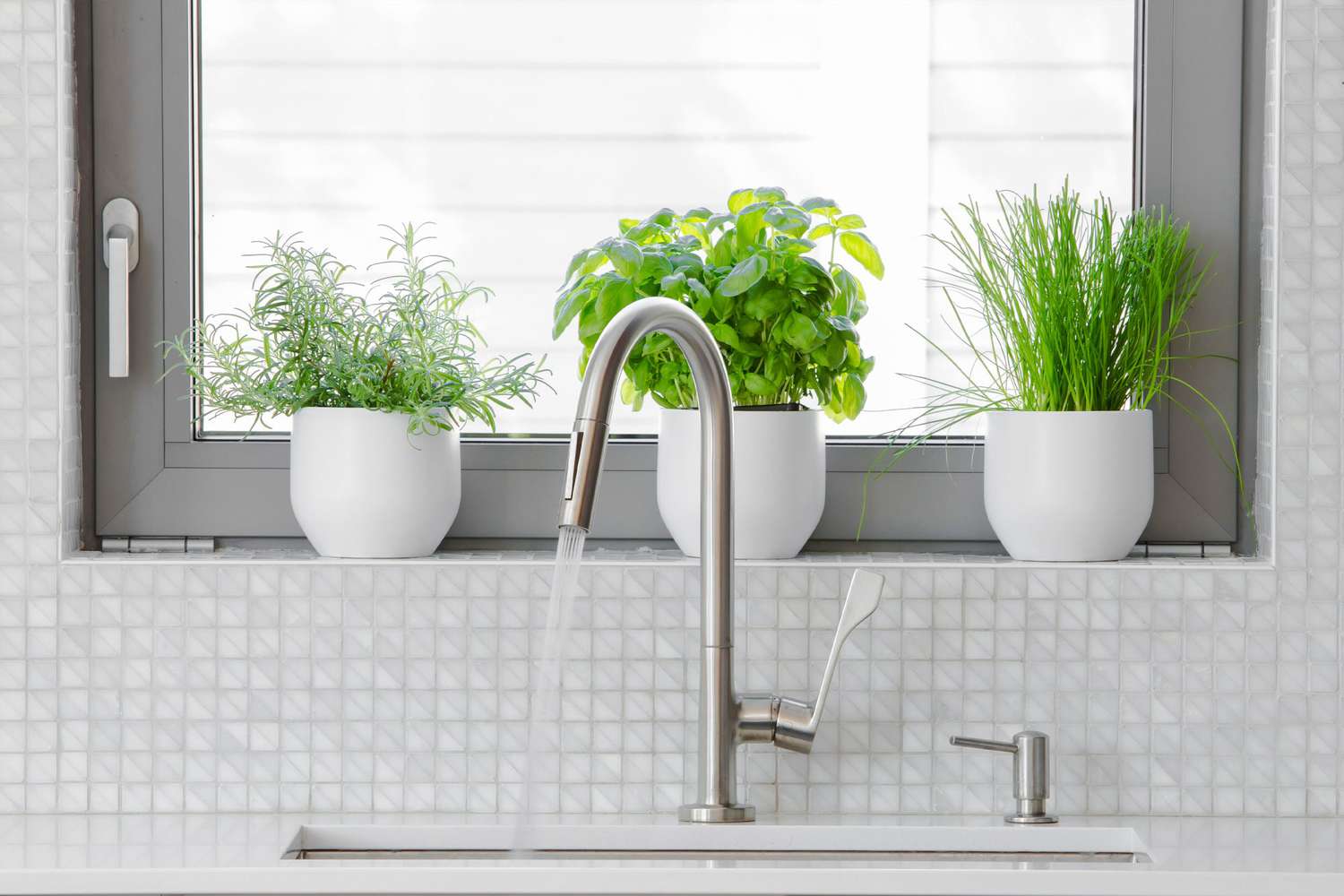 Kitchen sink with plants