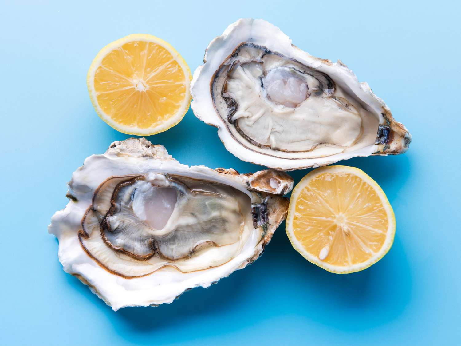 fresh oysters with lemon on blue background