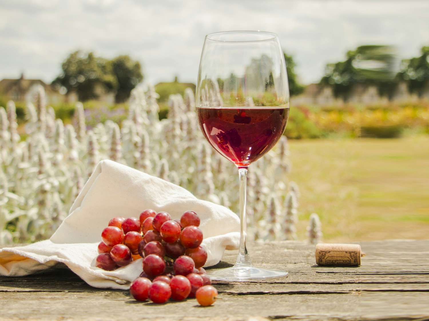 Red Grapes With Wineglass On Table At Field: red wine health benefits