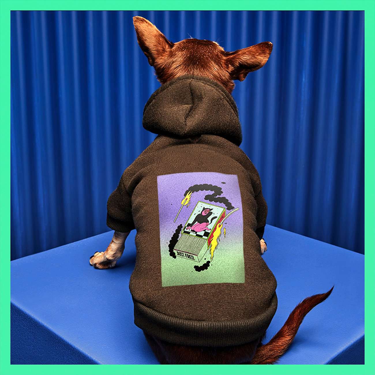 gifts-for-dog-lovers-Just Fred Hoodie